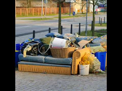 What to Look for in Junk Removal Services